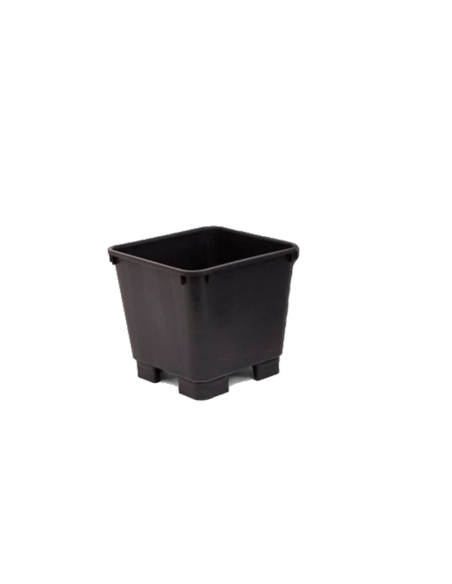 Vaso 5L (18.5x18.5x18.6cm) Vaso 5L (18.5x18.5x18.6cm)
