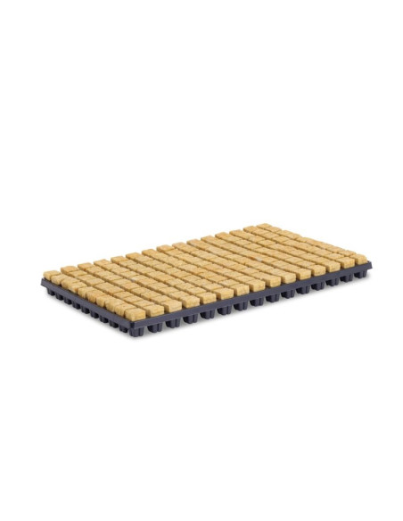 Cultilene Rockwool Tray (150 Cubes) (2.5x2.5x4cm) Cultilene Rockwool Tray (150 Cubes) (2.5x2.5x4cm)