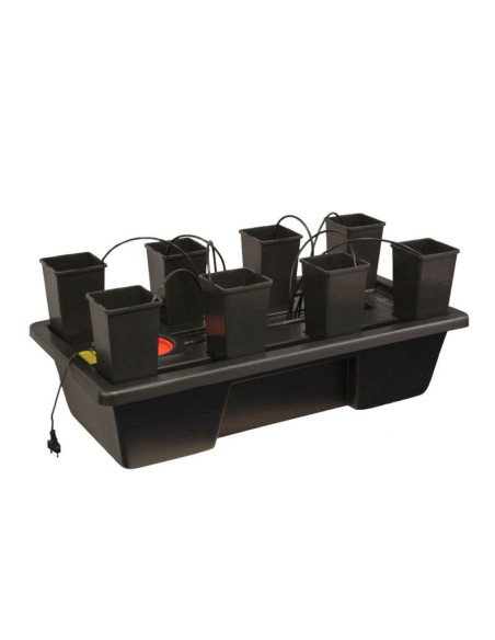 Wilma Mini 8 Completo 1,65L (90x45x21cm) Wilma Mini 8 Completo 1,65L (90x45x21cm)