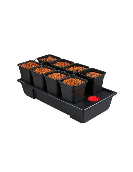 Wilma Small 8 Complete 11L (120x60x20) Wilma Small 8 Complete 11L (120x60x20)
