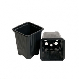 Vaso Quadrado (Preto) (7x7x8cm) (230ml)