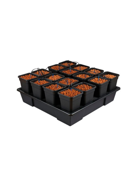 Wilma XXL 16 Complete 11L (115x115x20) Wilma XXL 16 Complete 11L (115x115x20)