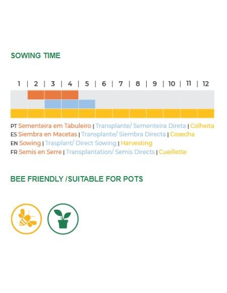 Sementes Vivas - Lemon Balm 0.6G Sementes Vivas - Lemon Balm 0.6G