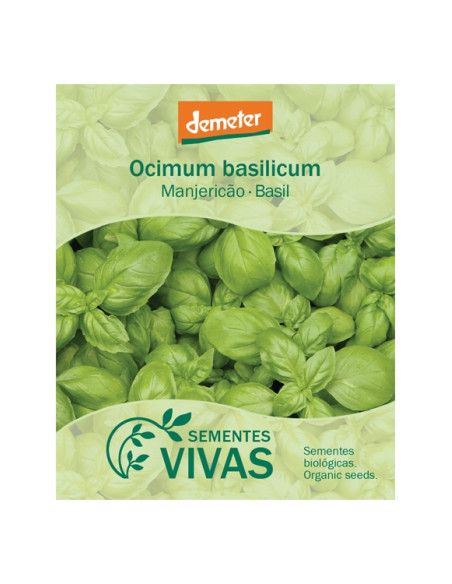 Sementes Vivas - Manjericão Genovese 1G Sementes Vivas - Manjericão Genovese 1G