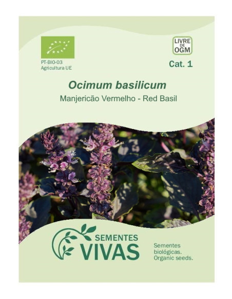 Sementes Vivas - Red Basil 2G Sementes Vivas - Red Basil 2G