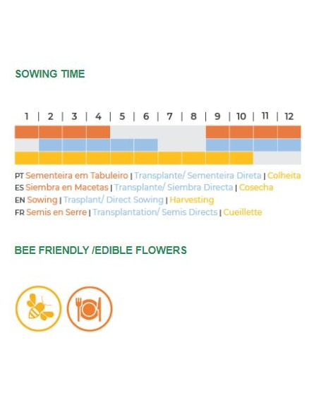 Sementes Vivas - Borage 1.4G Sementes Vivas - Borage 1.4G