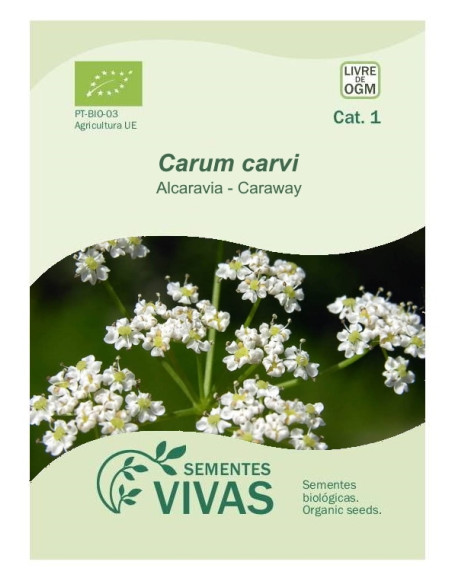 Sementes Vivas - Caraway 1G Sementes Vivas - Caraway 1G