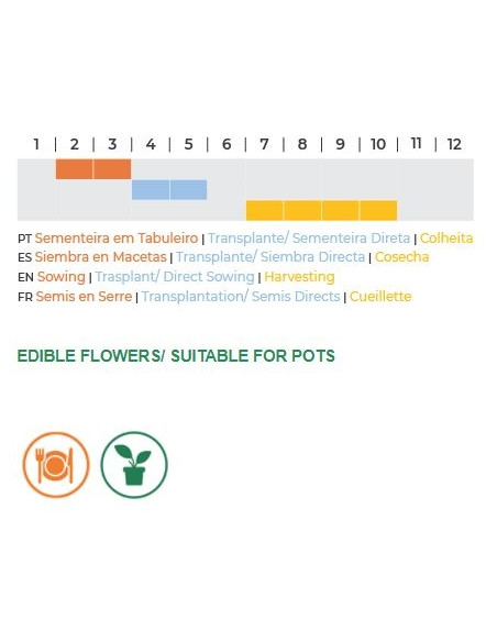 Sementes Vivas Aipo Tall Utah 0.3G Sementes Vivas Aipo Tall Utah 0.3G