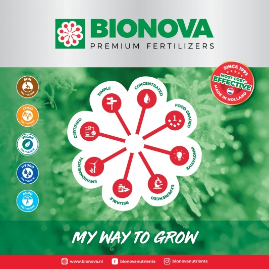 BioNova Profimix 2 KG