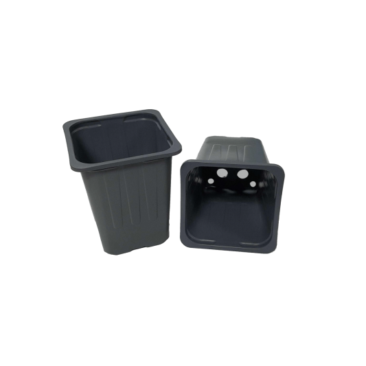 Square Pot (Black) (7x7x8cm) (230ml)