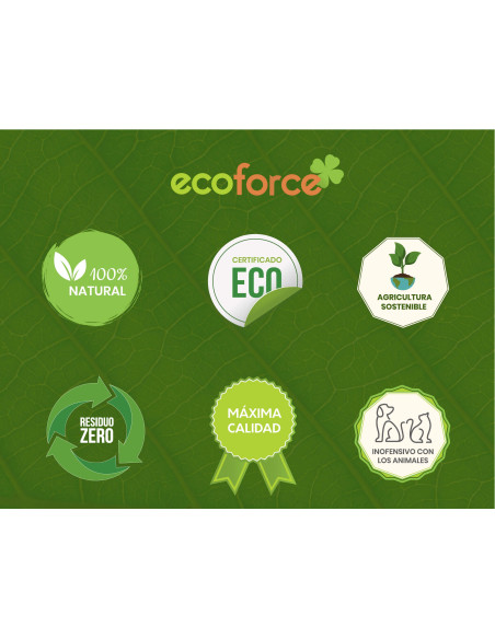 Cultivers Ecoforce Melaço de Cana-de-açúcar 1-20L Cultivers Ecoforce Melaço de Cana-de-açúcar 1-20L
