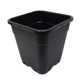 Square Pot ECO 7L (21 x 21 x 23.5cm)