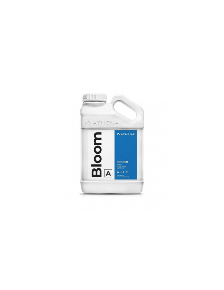 Athena Bloom A 0.94L Athena Bloom A 0.94L