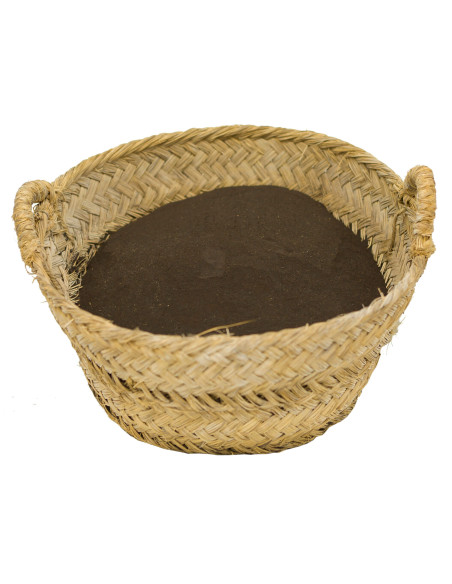 Cultivers Ecoforce Farinha de Sangue 1-25kg Cultivers Ecoforce Farinha de Sangue 1-25kg