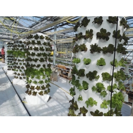 Aponix Soilless Vertical Tower - 120 plants