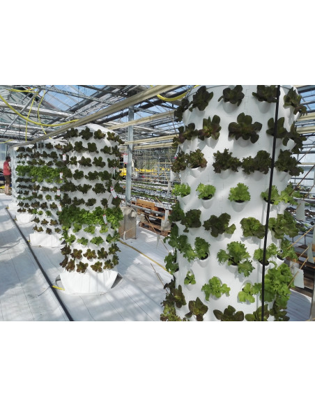 Aponix Torre Vertical Hidropónica - 119 plantas Aponix Torre Vertical Hidropónica - 119 plantas
