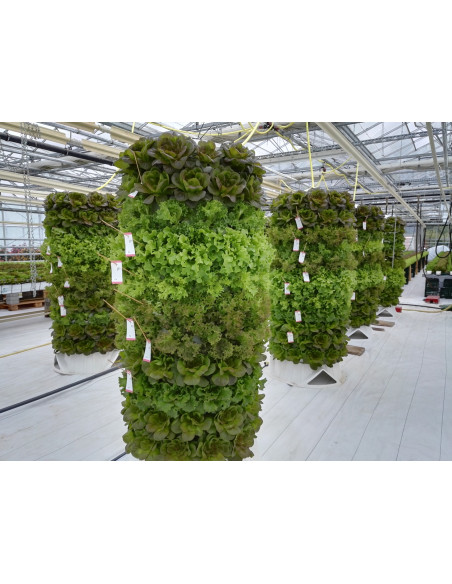 Aponix Torre Vertical Hidropónica - 119 plantas Aponix Torre Vertical Hidropónica - 119 plantas
