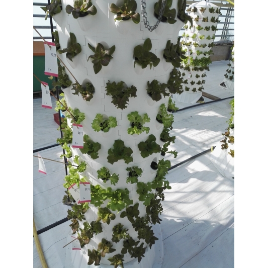 Aponix Soilless Vertical Tower - 119 plants