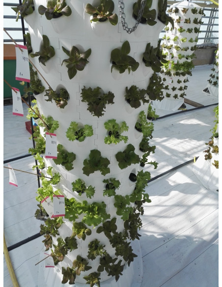 Aponix Torre Vertical Hidropónica - 119 plantas Aponix Torre Vertical Hidropónica - 119 plantas