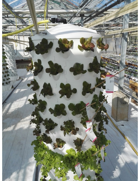 Aponix Torre Vertical Hidropónica - 119 plantas Aponix Torre Vertical Hidropónica - 119 plantas