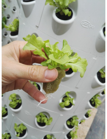 Aponix Torre Vertical Hidropónica - 119 plantas Aponix Torre Vertical Hidropónica - 119 plantas