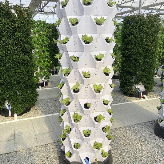 GroLab Hydroponic Planting Tower (72 plants 1.5m)