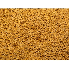 Terralba Organic Malted Barley (Occitanie) 100kg