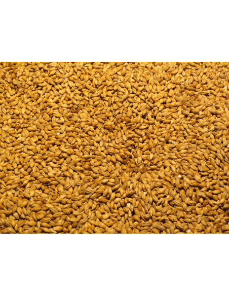 Terralba Organic Malted Barley (Occitanie) 100kg Terralba Organic Malted Barley (Occitanie) 100kg