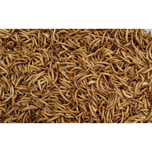 Terralba Mealworm Guano 25kg