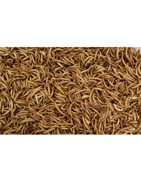 Terralba Guano de Larva-da-farinha 25kg Terralba Guano de Larva-da-farinha 25kg