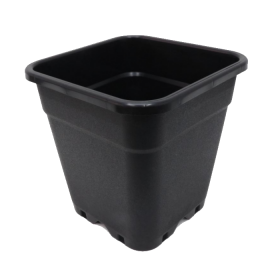 Square Pot ECO 18L (31 X 31 X 31,6 cm)