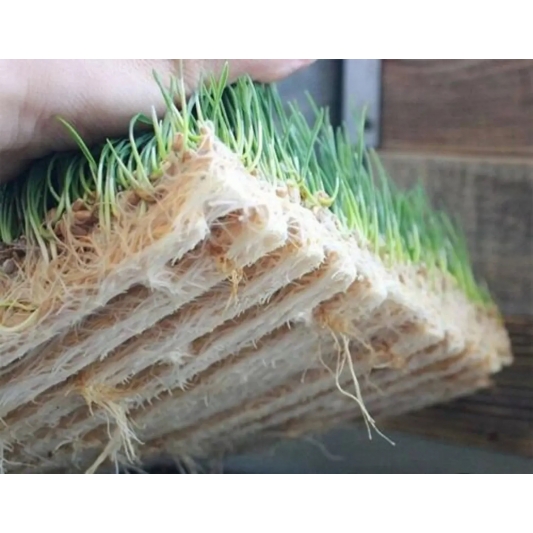 Terrafibre Grow Mat Roll 1.20x15m (750g/m² - 8mm thick)