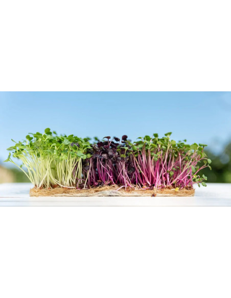Terrafibre Grow Mat Roll 1.20x15m (750g/m² - 8mm thick) Terrafibre Grow Mat Roll 1.20x15m (750g/m² - 8mm thick)