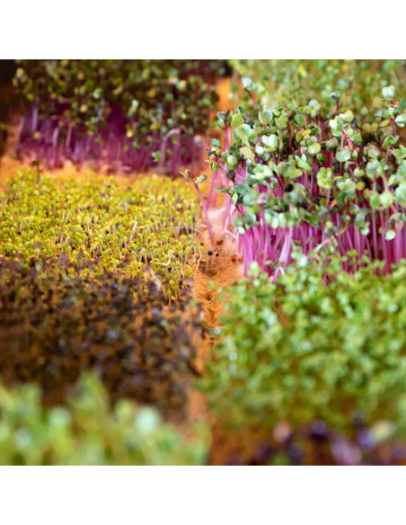 Terrafibre Grow Mat Roll 1.20x15m (750g/m² - 8mm thick) Terrafibre Grow Mat Roll 1.20x15m (750g/m² - 8mm thick)