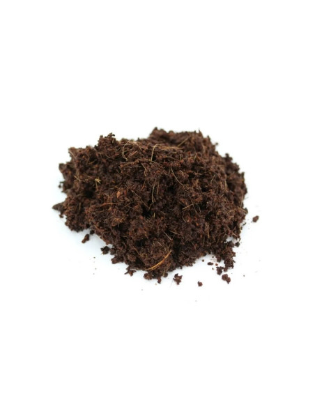 FloraFlex Quickfill Coco 1 galão (3,78L) | 60% WHC FloraFlex Quickfill Coco 1 galão (3,78L) | 60% WHC