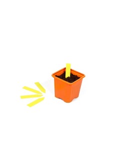 Etiquetas Amarelas (Identificador de Plantas)