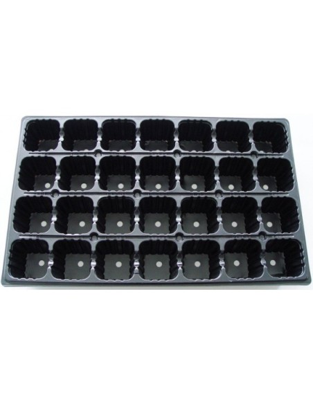 Seeding Tray 28 Alveoli (50 x 31 x 6.5 cm) Seeding Tray 28 Alveoli (50 x 31 x 6.5 cm)