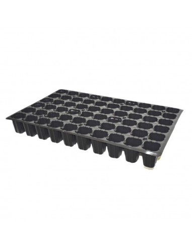 Seeding Tray 60 Alveoli (50 x 31 x 6 cm)