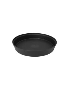 Plato Redondo - Ø19 - 24 - 32 - 37 CM