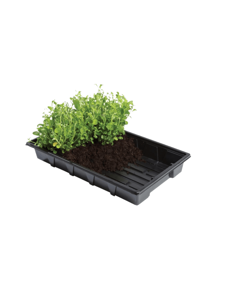 Garland Professional Tray w/o Holes (37 x 23,5 x 5cm) Garland Professional Tray w/o Holes (37 x 23,5 x 5cm)