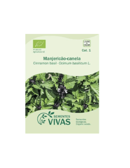 Sementes Vivas  Manjericão Canela 2G Sementes Vivas  Manjericão Canela 2G