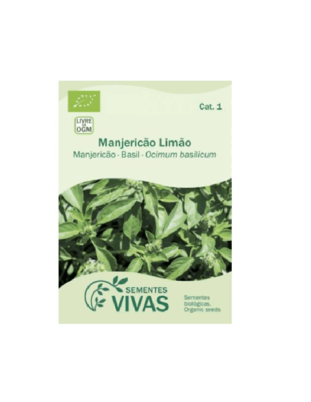 Sementes Vivas Manjericão Limão 2G Sementes Vivas Manjericão Limão 2G
