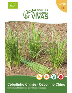 Sementes Vivas  Cebolinho Chinês 1G