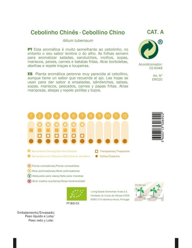 Sementes Vivas  Cebolinho Chinês 1G