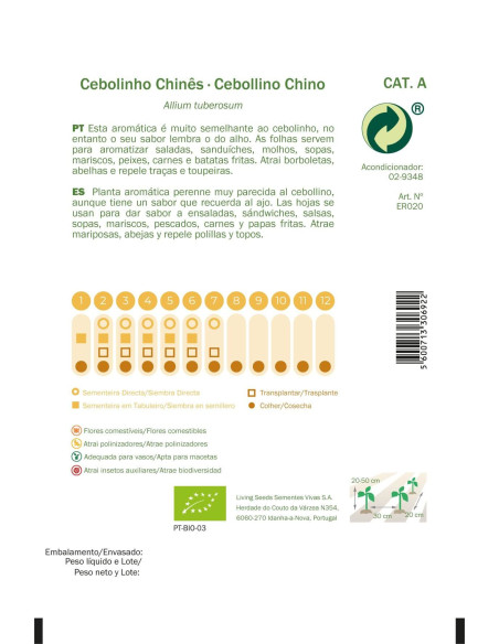 Sementes Vivas  Cebolinho Chinês 1G Sementes Vivas  Cebolinho Chinês 1G