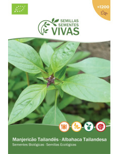 Sementes Vivas  Manjericão Tailândia 2G