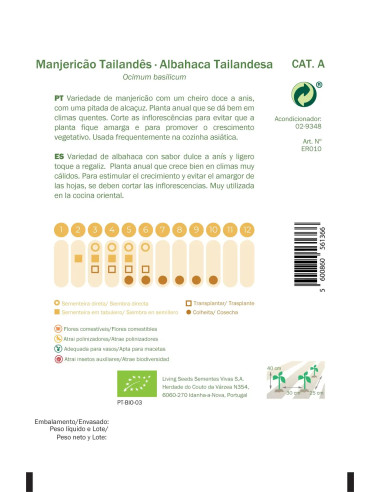 Sementes Vivas  Manjericão Tailândia 2G