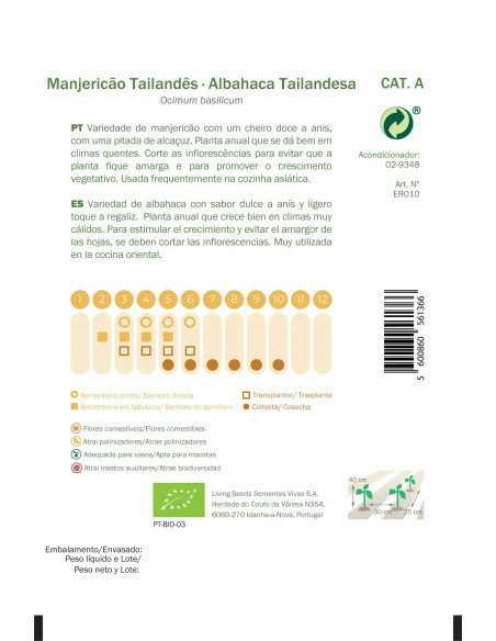 Sementes Vivas  Manjericão Tailândia 2G Sementes Vivas  Manjericão Tailândia 2G