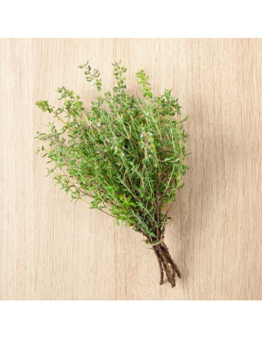 Sementes Vivas Thyme 0.5G