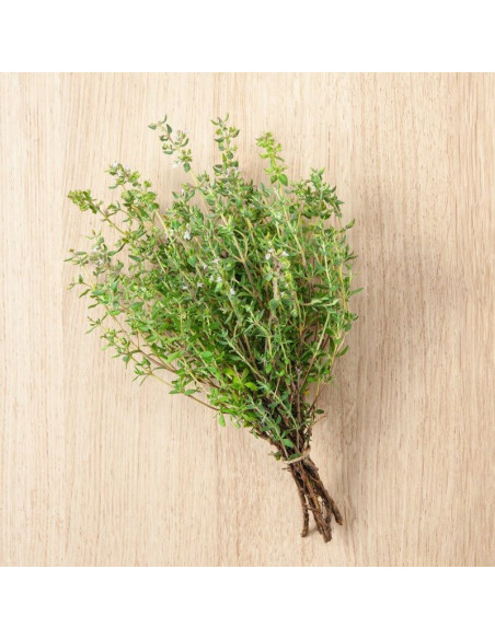 Sementes Vivas Thyme 0.5G Sementes Vivas Thyme 0.5G